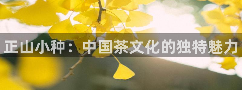 摩登7右3299O7