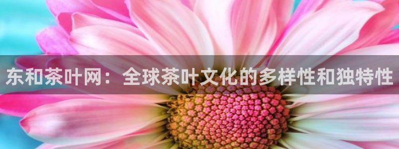 摩登7冠