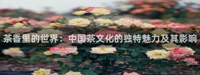 摩登7游戏