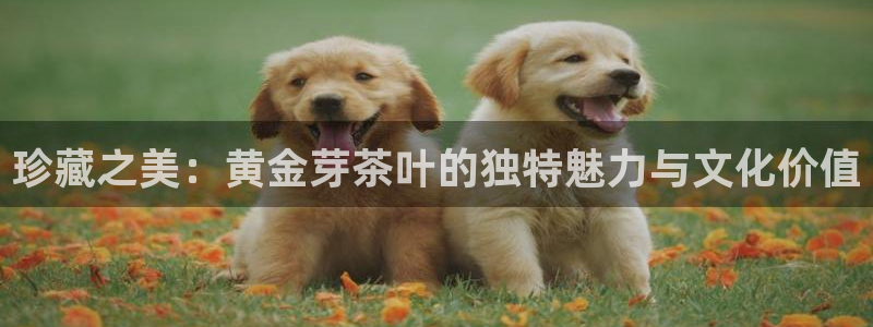 摩登7泽333OO