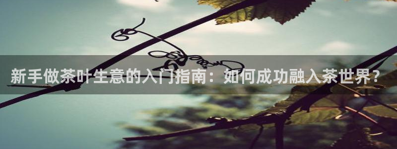 摩登精品7