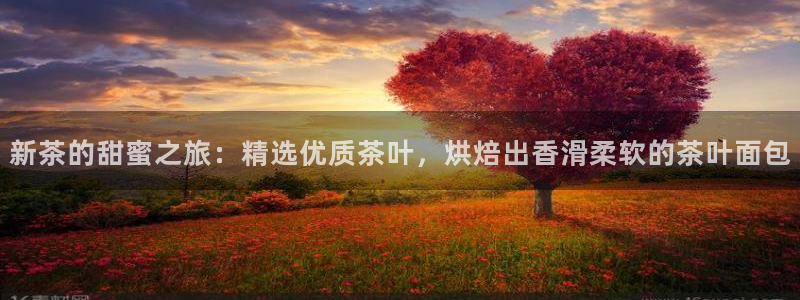 摩登注册型7O777