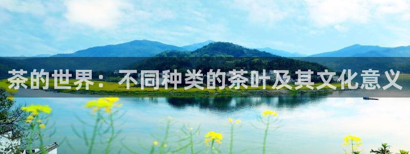 摩登7娱乐