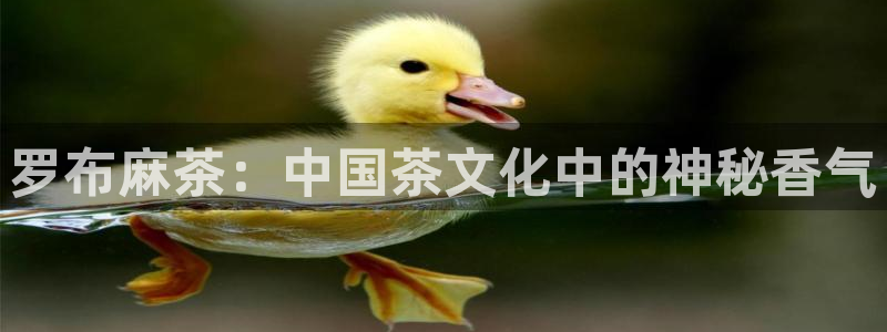 摩登口碑7