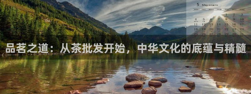摩登7排名