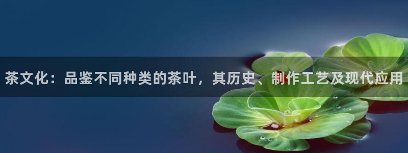 摩登3月7O667