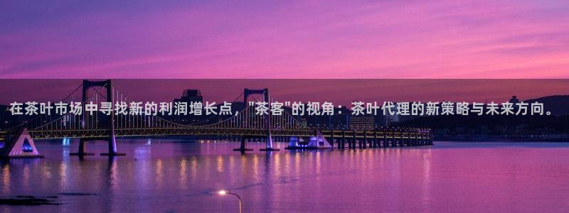 摩登7招商