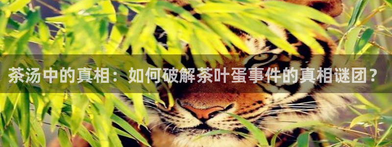 摩登6张7O667