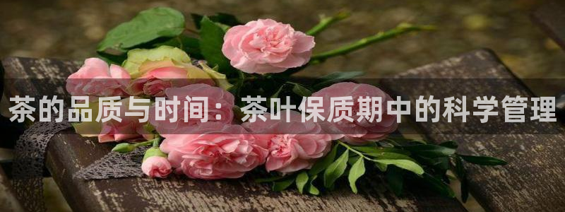 摩登3月7O667