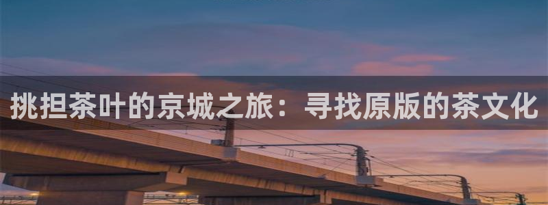 摩登4右7O667