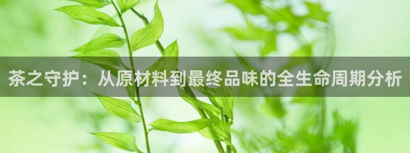 摩登3郑7O667