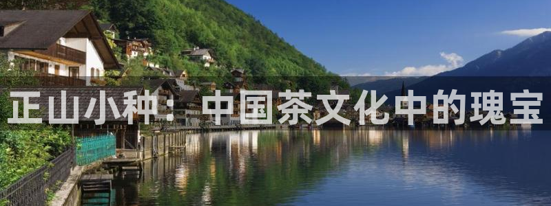 摩登7app下载
