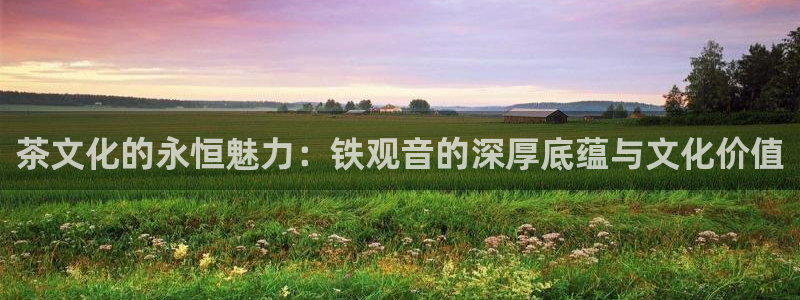 摩登6天7O667