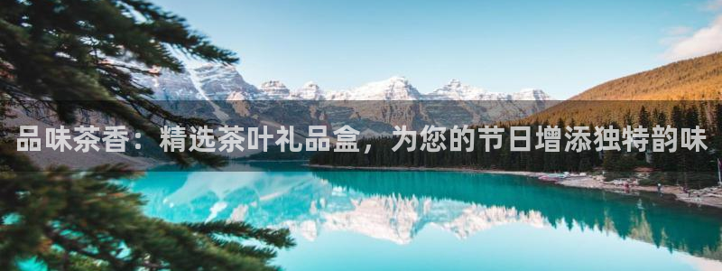 摩登4地7O667