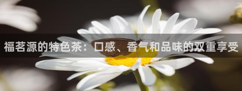 摩登5施7O667