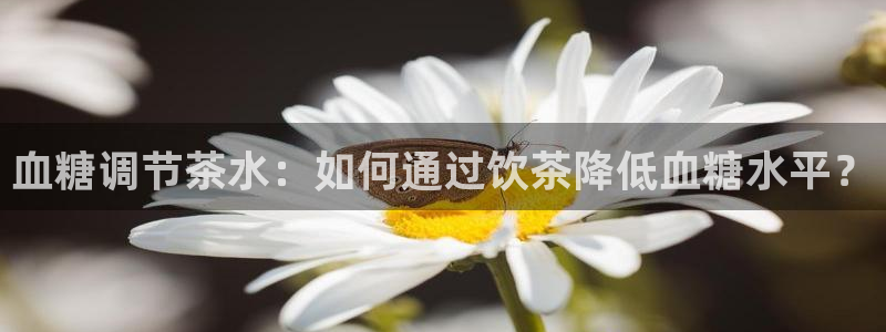 摩登3吕7O667