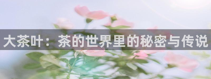 摩登7属于什么平台