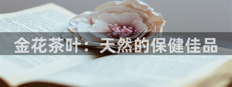 摩登平台标7O777