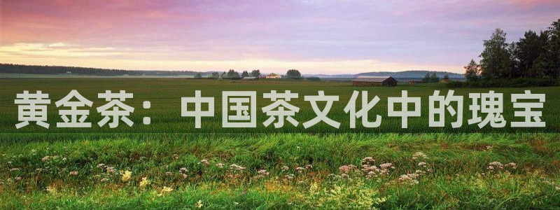 摩登7属于什么平台