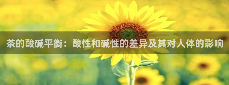 7牌摩登