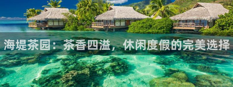 摩登3右7O667