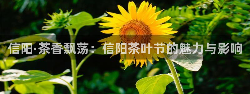 摩登7主管