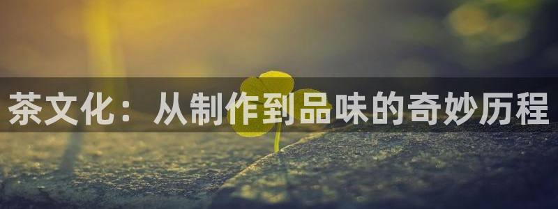 摩登7主管亲333OO