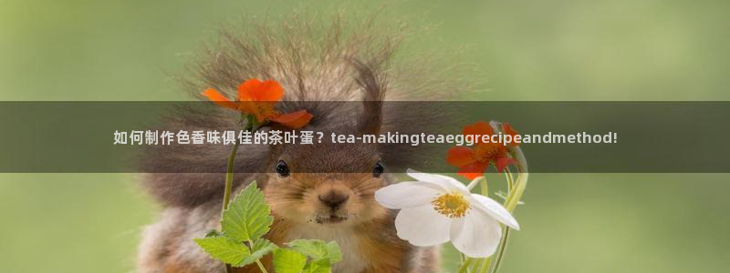 摩登精品7口碑极限