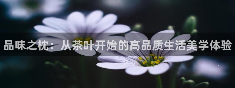 lgg7摩登