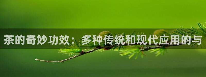 摩登7登陆