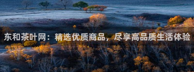 摩登7左3299O7