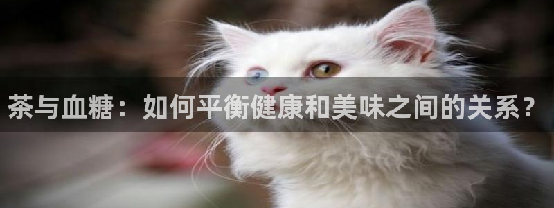 摩登4上7O667