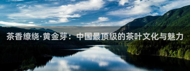 摩登7登陆