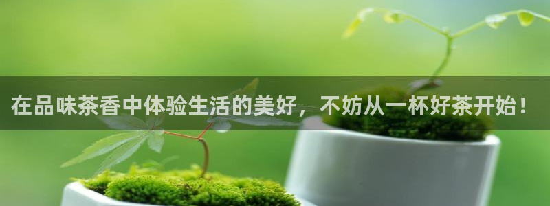 摩登7黑钱