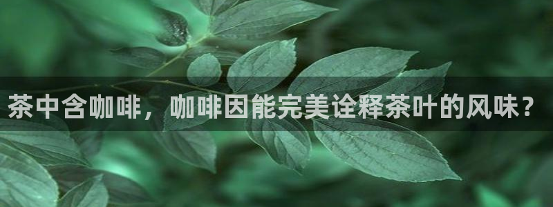 摩登7重工摩登