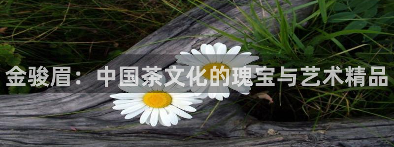 摩登7下