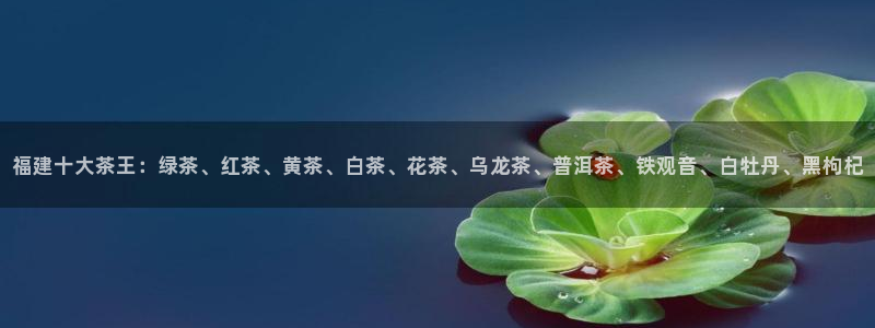 摩登6月7O667
