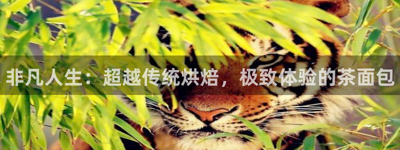 摩登7 1