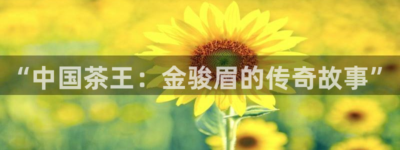 摩登7娱乐怎么样