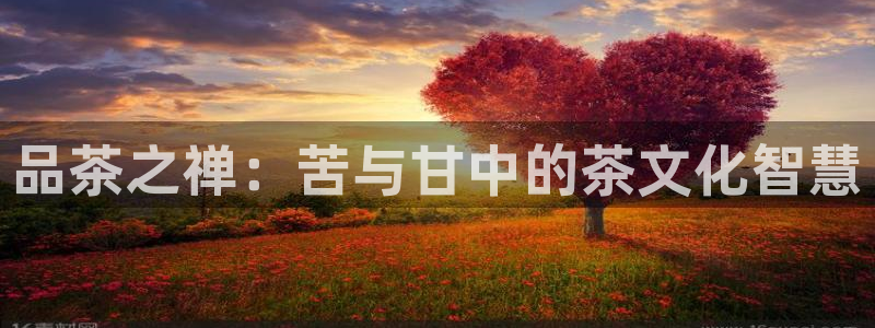 摩登7日