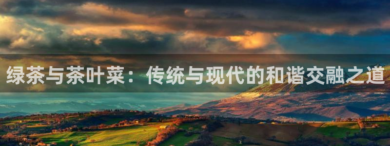 摩登7招商排名
