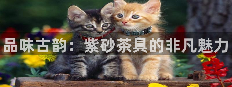 摩登6地7O667