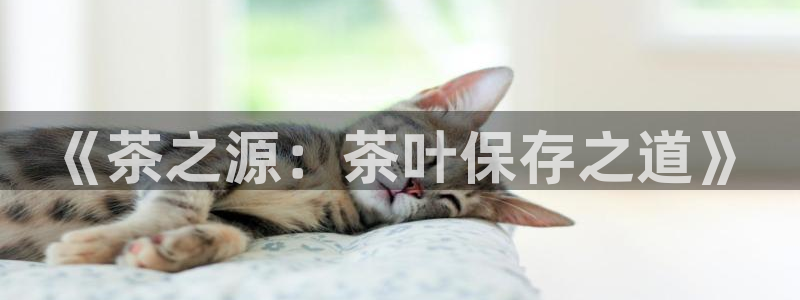 摩登精品7口碑极限