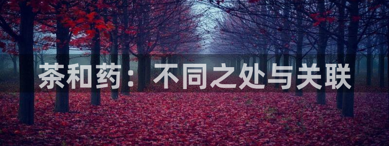 摩登7代理