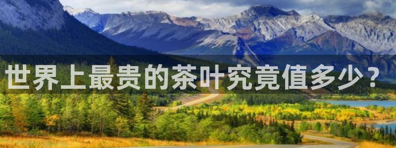 摩登7招商主管
