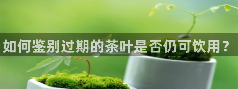 摩登精品7