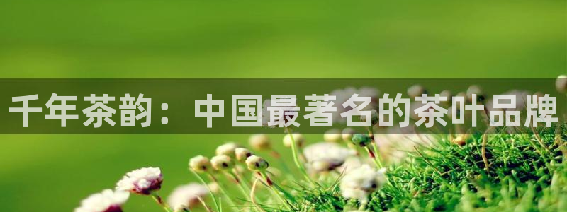 摩登7登录亡333OO