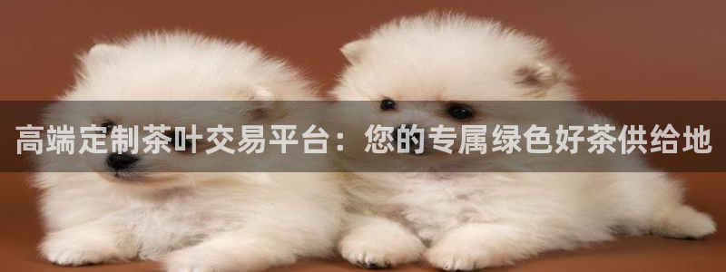 摩登7排名
