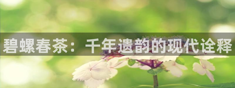 摩登7链接