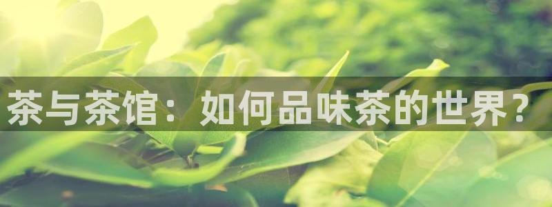 7牌摩登